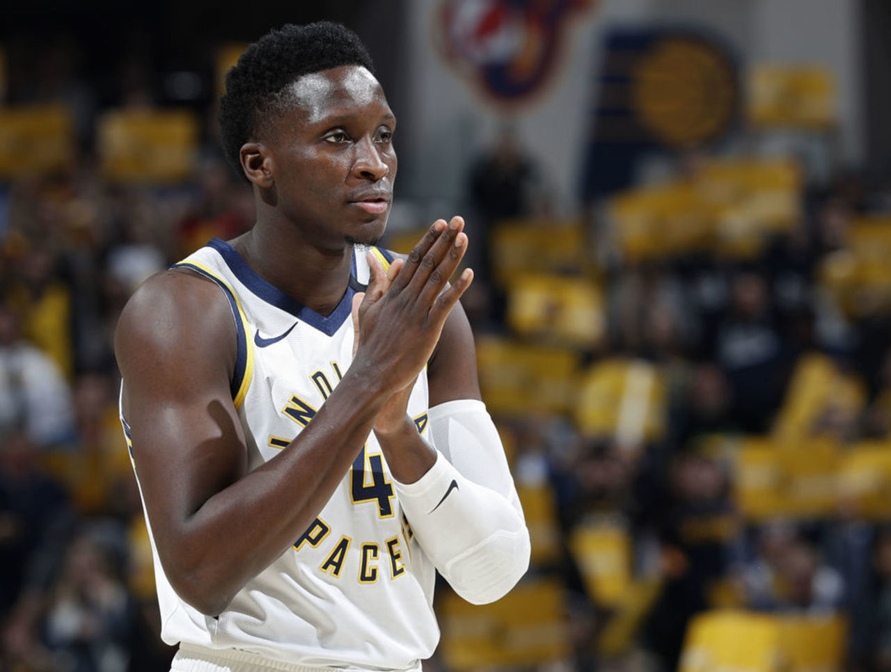 热爱和敬意 热爱和敬意