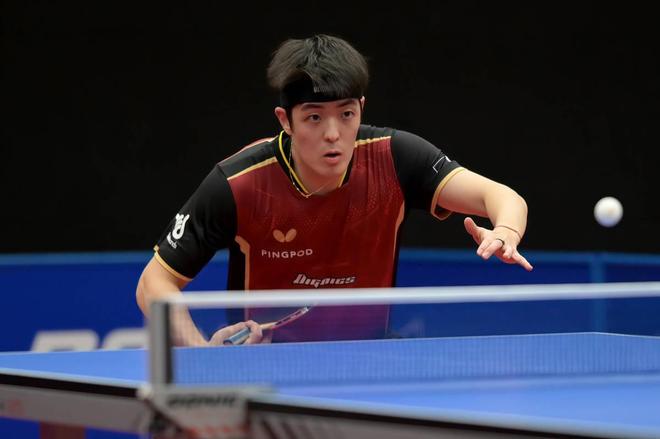 与潜力新星 与潜力新星